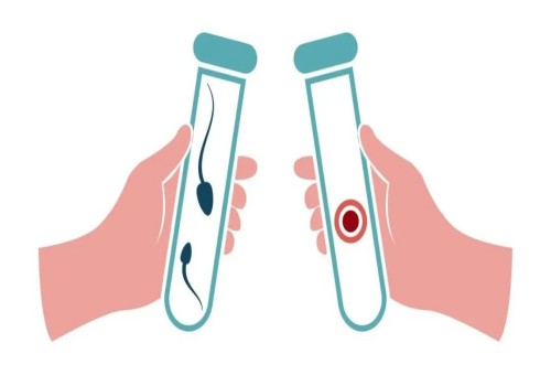 嘉兴助孕机构：男性精子原因导致的不孕不育，做供精试管需要多少钱-